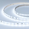 Лента IC-A60-10mm 24V White6000 (4.8 W/m, IP20, 2835, 20m) (Arlight, 4.8 Вт/м, IP20)