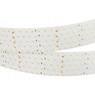 Лента светодиодная RT 2-2500 24V Warm3000 5x2 (2835, 875 LED, CRI98) (Arlight, 36 Вт/м, IP20)