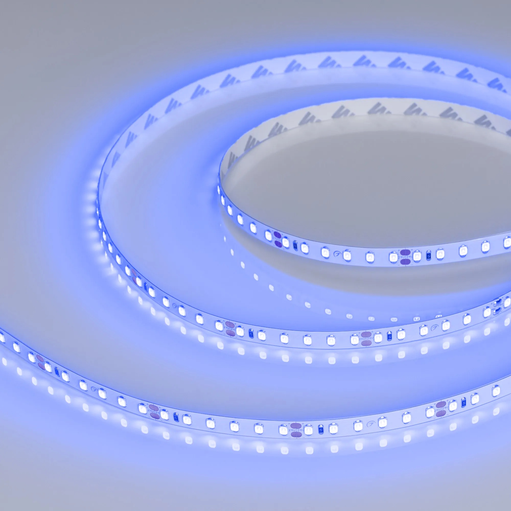 Лента светодиодная RT-A120-8mm 24V Blue (9.6 W/m, IP20, 5m) (Arlight, 9.6 Вт/м, IP20) - изображение товара