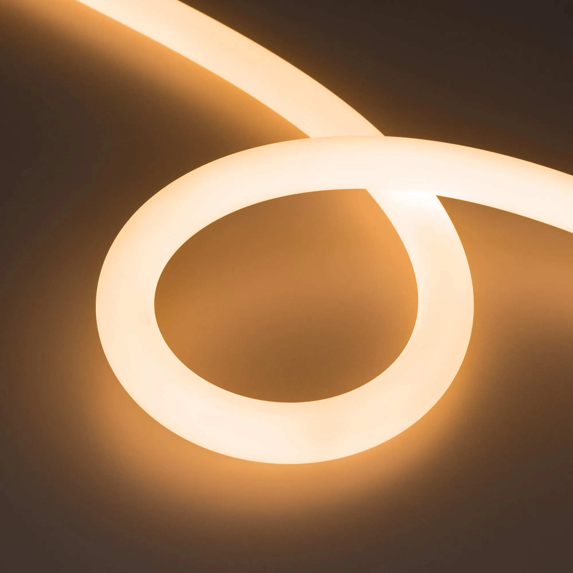 Лента светодиодная герметичная MOONLIGHT-TOP-FP-X1088-D25mm 24V Warm2300 (20 W/m, IP65, 5m, wire x1) (Arlight, Вывод прямой, 3 года) - изображение товара